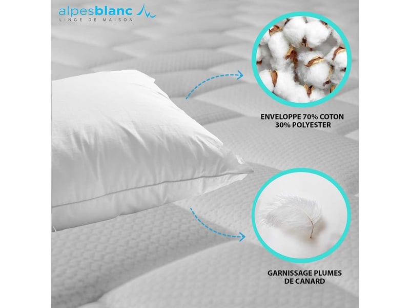 Pack 4 pièces-2 oreillers 65x65cm en plume + 2 sous taies coton - 1